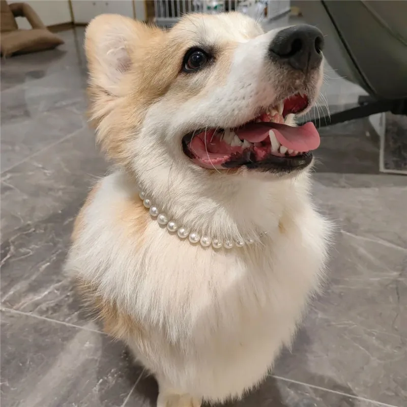 Colorful Pearl Dog Necklace Collar Fashion Jeweled Puppy Cat Collar Candy Color Dog Choker Pet Accessories Supplies