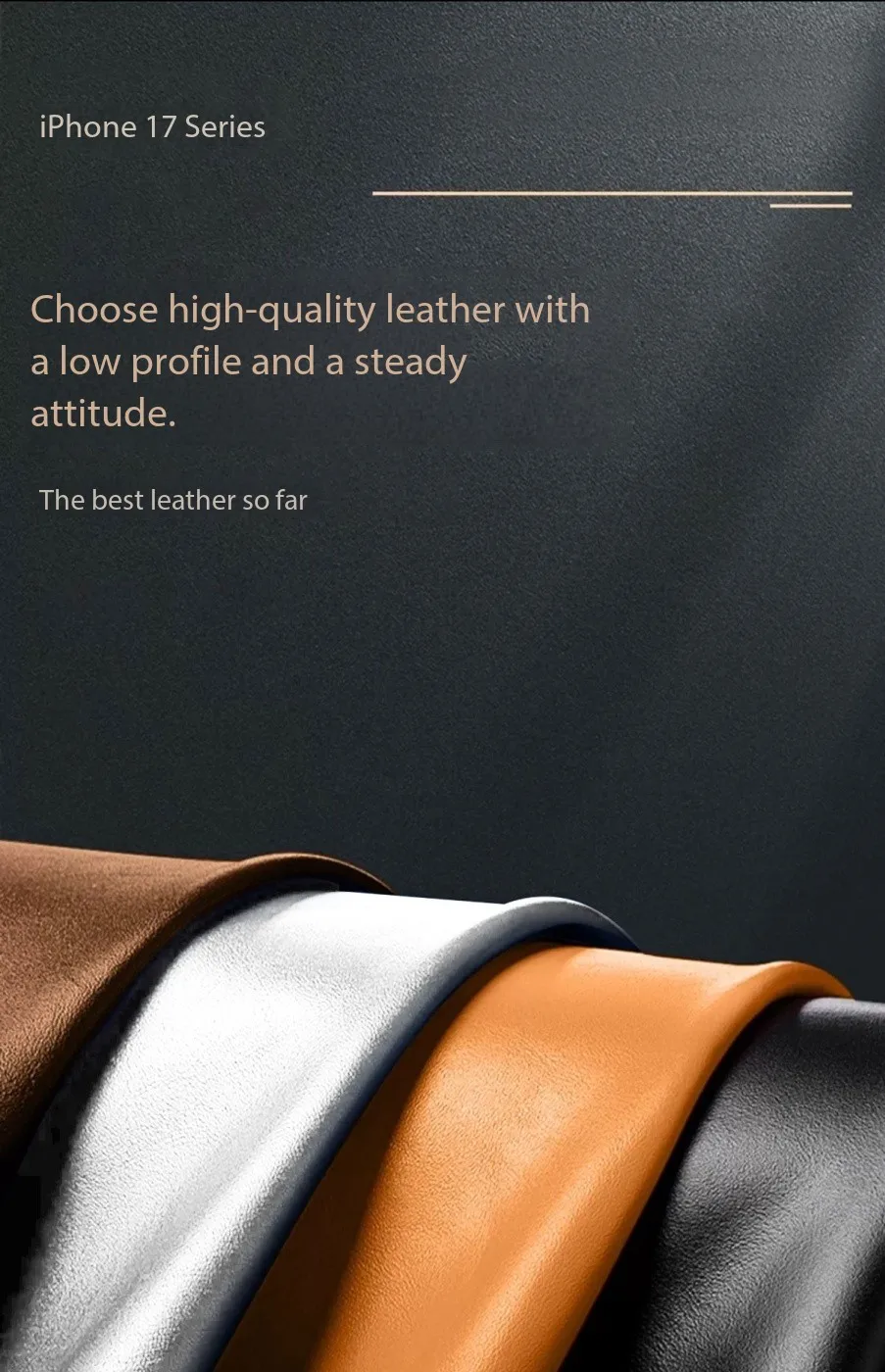 Luxury Strong Magnetic Leather Case for Apple iPhone 18 17 Pro Max 16 15 14 Plus 13 12 18Pro Wireless Shockproof MagSafe Cover