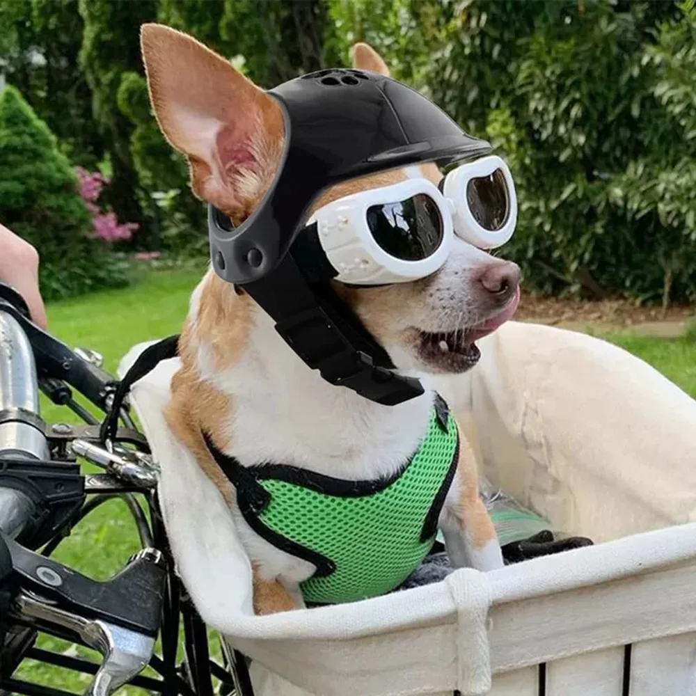 Motorcycle Helmet for Small Dogs Pet Outdoor Supplies Footprint Dog Safety Helmets with Ear Holes Puppy Cycling Accessories
