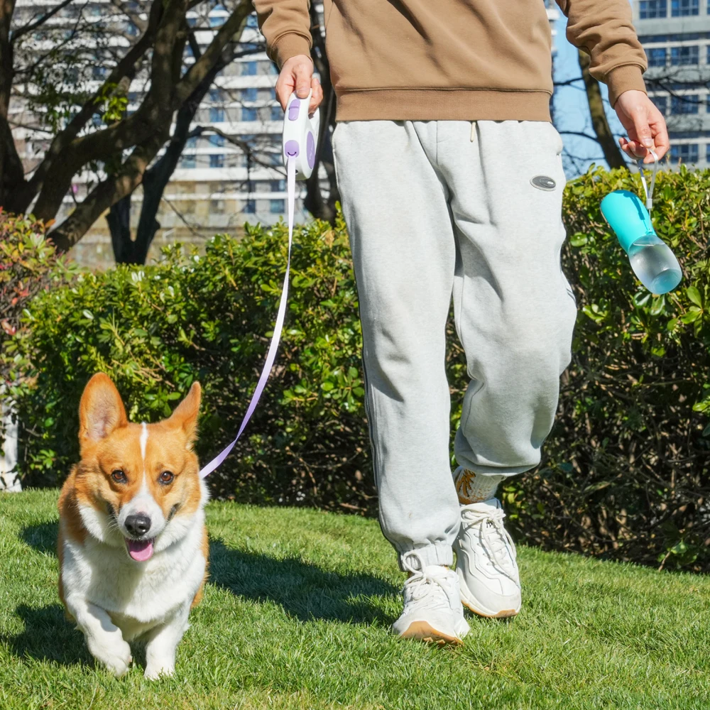 Pet Dog Water Bottle 300ML Puppy Drinking Bowls For Small Medium Dogs Cats Hiking Portable Cat Feeder Golden Retriever Supplies