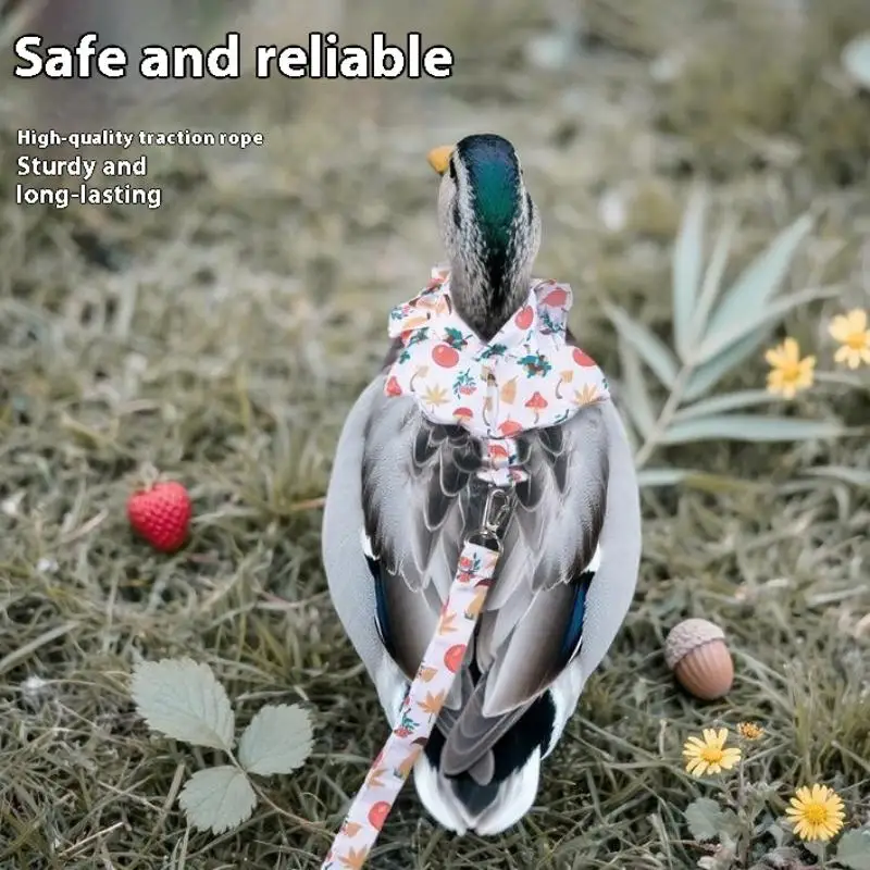 1/2Pcs Cute Cartoon Fashion Chicken Duck Vest Diaper Hen Belt Pet Traction Rope Set Comfortable Leads Pet Poultry Supplies