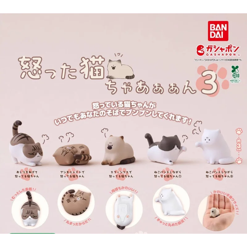 Bandai Original Gashapon Angry Cat Rage Kitty Anime Figure Kawaii Collectible Toy Series 3 Anime Action Figure Model Toy Gift