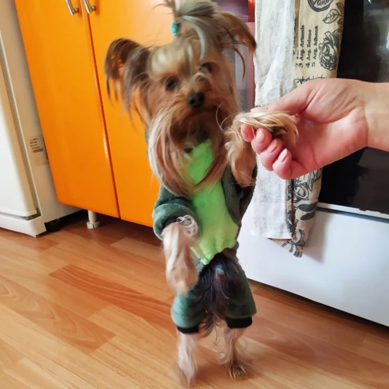 Autumn Winter Pet Cat Dog Clothes Fleece Cute Puppy Jumpsuit Costume for Small Dogs Chihuahua Pomeranian Kitten Pajamas Cachorro