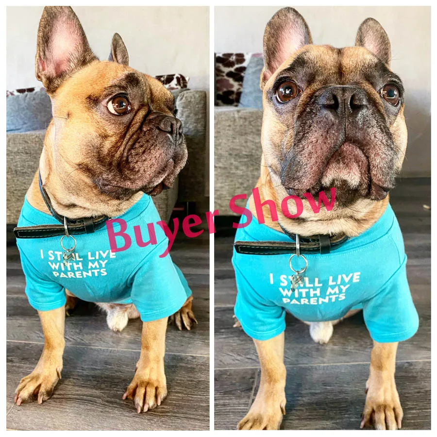 Letter Printed French Bulldog Shirt Cozy Cotton Stretch Pet Dog Clothes for Chihuahua Summer Pug T-shirts Yorkshire Cat Clothing