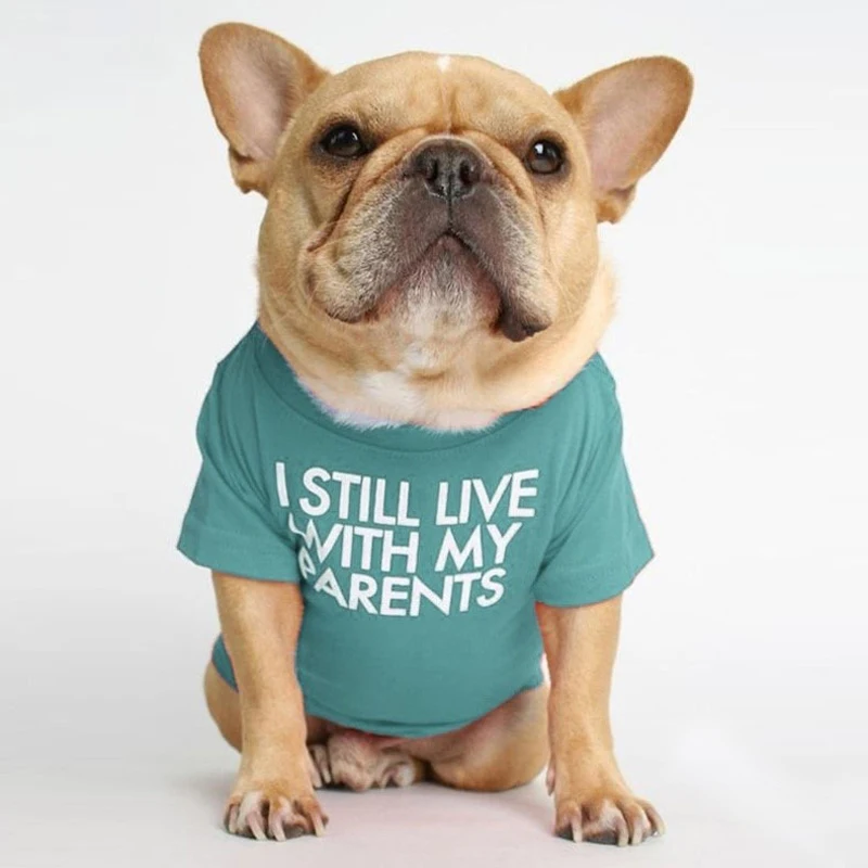 Letter Printed French Bulldog Shirt Cozy Cotton Stretch Pet Dog Clothes for Chihuahua Summer Pug T-shirts Yorkshire Cat Clothing