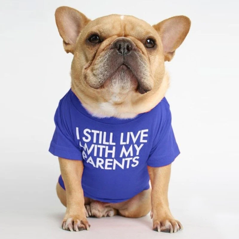 Letter Printed French Bulldog Shirt Cozy Cotton Stretch Pet Dog Clothes for Chihuahua Summer Pug T-shirts Yorkshire Cat Clothing