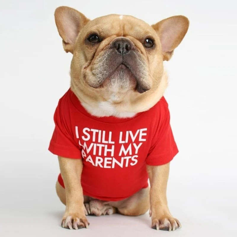Letter Printed French Bulldog Shirt Cozy Cotton Stretch Pet Dog Clothes for Chihuahua Summer Pug T-shirts Yorkshire Cat Clothing