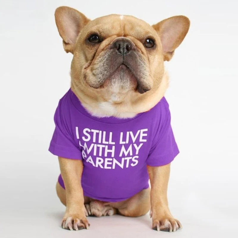 Letter Printed French Bulldog Shirt Cozy Cotton Stretch Pet Dog Clothes for Chihuahua Summer Pug T-shirts Yorkshire Cat Clothing