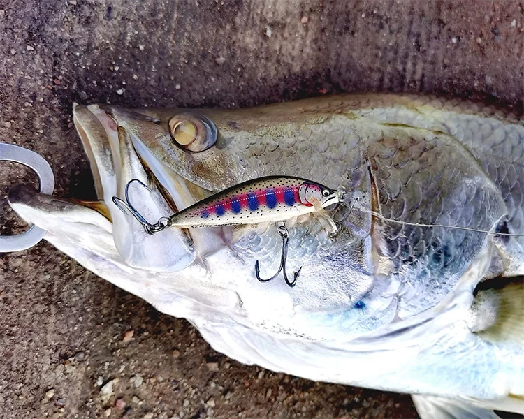 VTAVTA Sinking Minnow Jerkbait Wobbler 7cm 10g Trout Saltwater Artificial Hard Bait Swimbait Carp Pesca Pike Fishing Lure Tackle