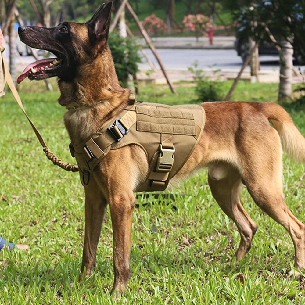 Military Large Dogs Harness Leash Molle Pouches Pet Golden Retriever Training Vest Tactical Harnesses For Dog Accessories