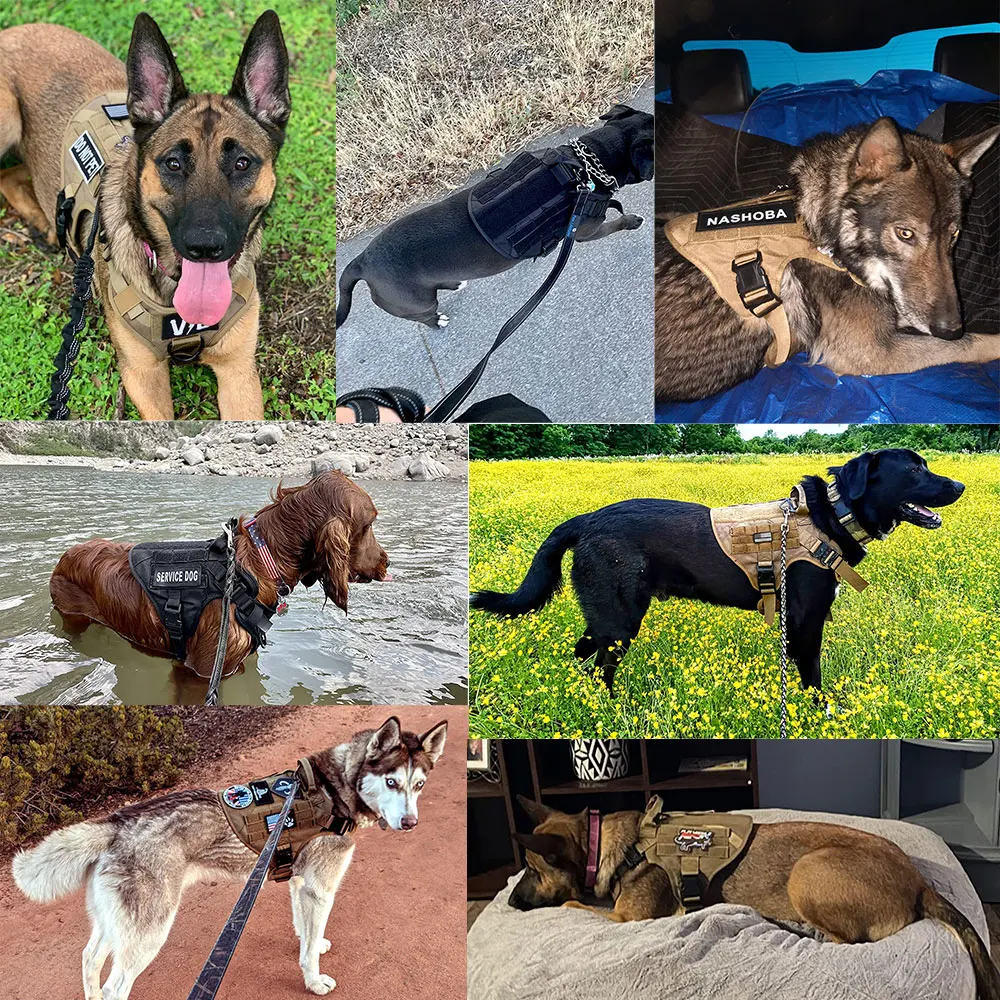 Military Large Dogs Harness Leash Molle Pouches Pet Golden Retriever Training Vest Tactical Harnesses For Dog Accessories