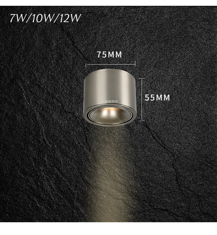 Bauhaus Ultra-Thin Surface-Mounted Downlight. Modern Minimalist Anti-Glare Ceiling Lamp / 30° Adjustable. Indoor Lighting 7W 10W