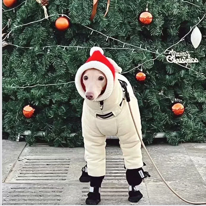 Winter Dog Jacket,Thickened Warm Dog Clothes Outfits,Big Dogs Down Jacket For Cold Weather,Full Cover For Neck-Greyhound Whippet