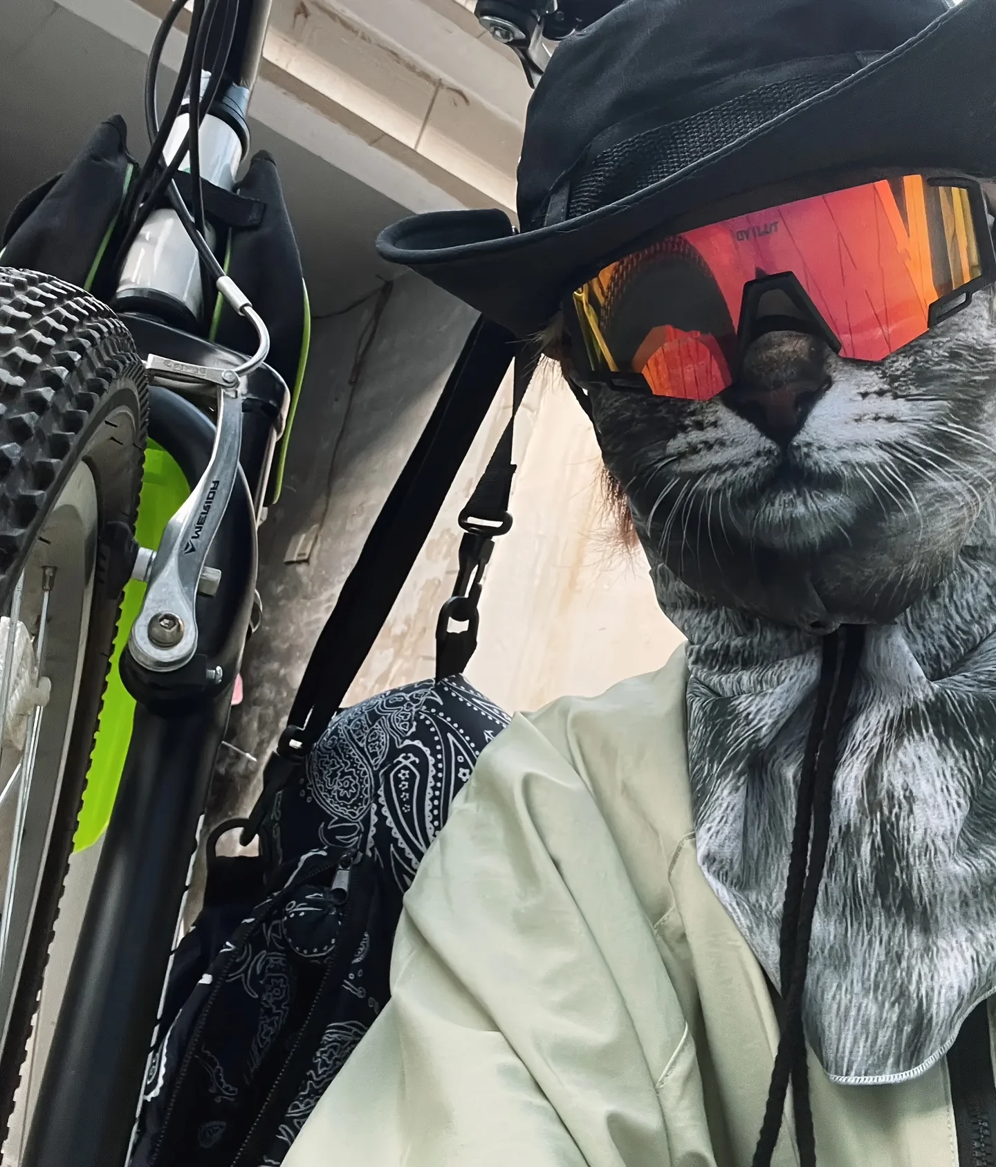 3D Cute Animal Balaclava Motorcycle Motocross Ski Snowboard Hat Helmet Liner Cat Dog Biker Neck Warmer Face Cap Cycling Headgear