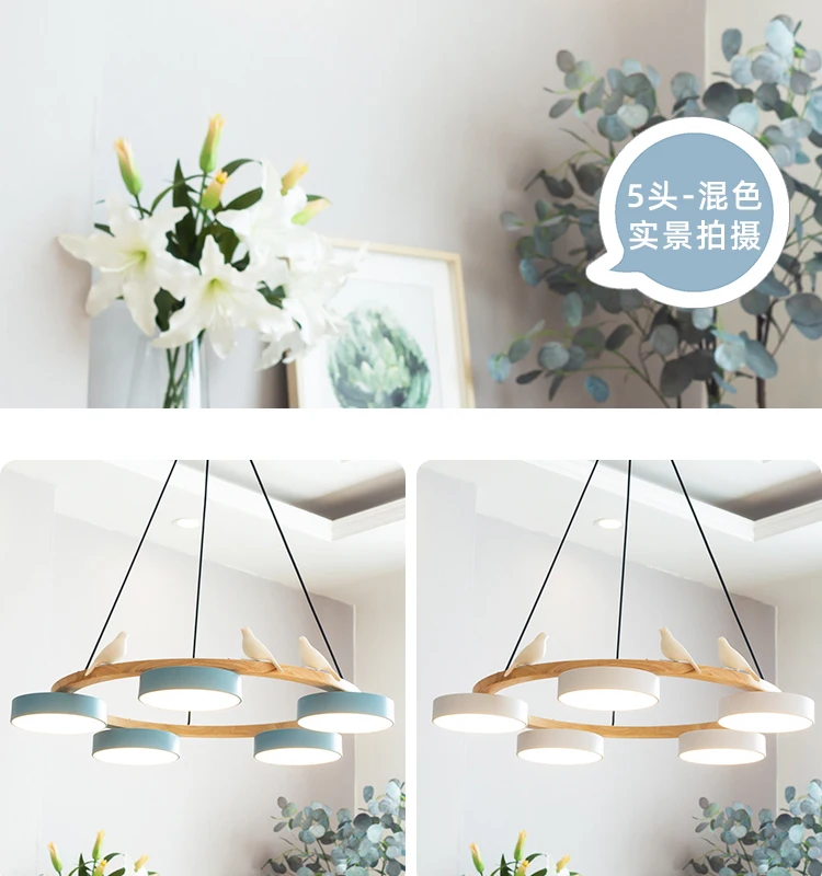 Nordic Wooden circle chandelier Bird lamp for Living Room Colour lamp Minimalist Bedroom Living Room Main Light dining lamp