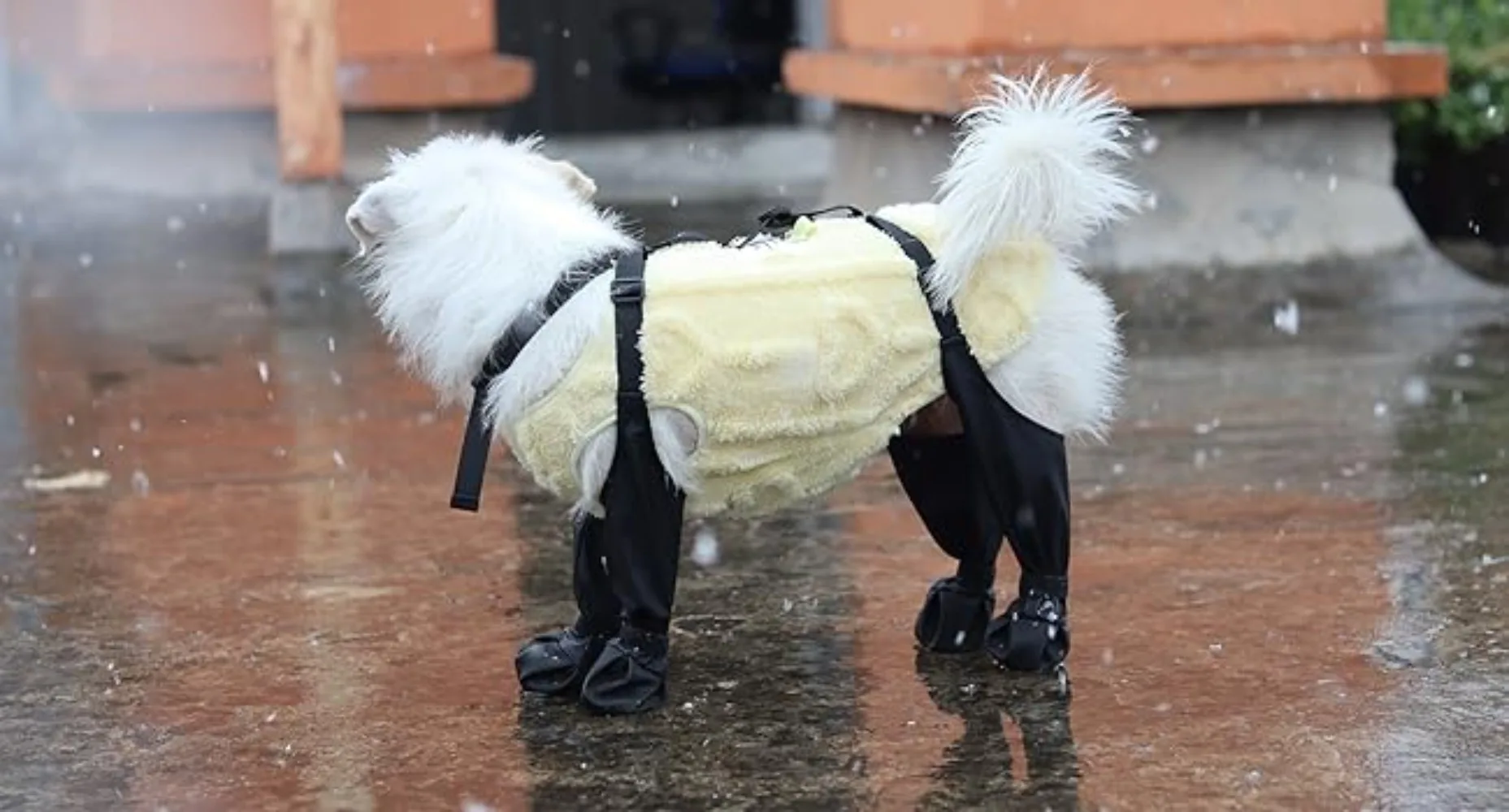 Anti-Slip Dog Shoes Pet Paw Dog Rain Booties Dirty-proof Anti-fall Dog Outdoor Suspender Sock Shoes Winter Waterproof Dog Boots