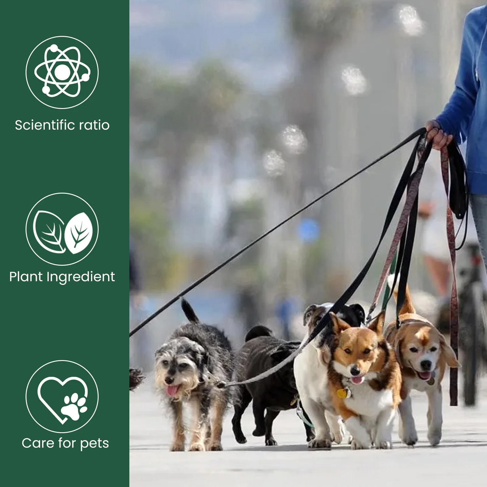 Probiotic Drops to Boost Pet Immunity, Relieve Discomfort in Cats and Dogs, Oral Care for Pets, Bad Breath Solution