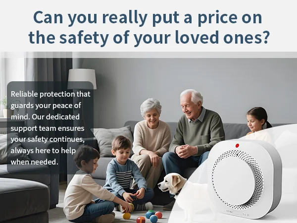 Zigbee Smoke Alarm Tuya Smart Real-time Monitoring APP Notification Smoke Detector For Gas Wall-hung Stoves Bathrooms Industrial Hotel Security