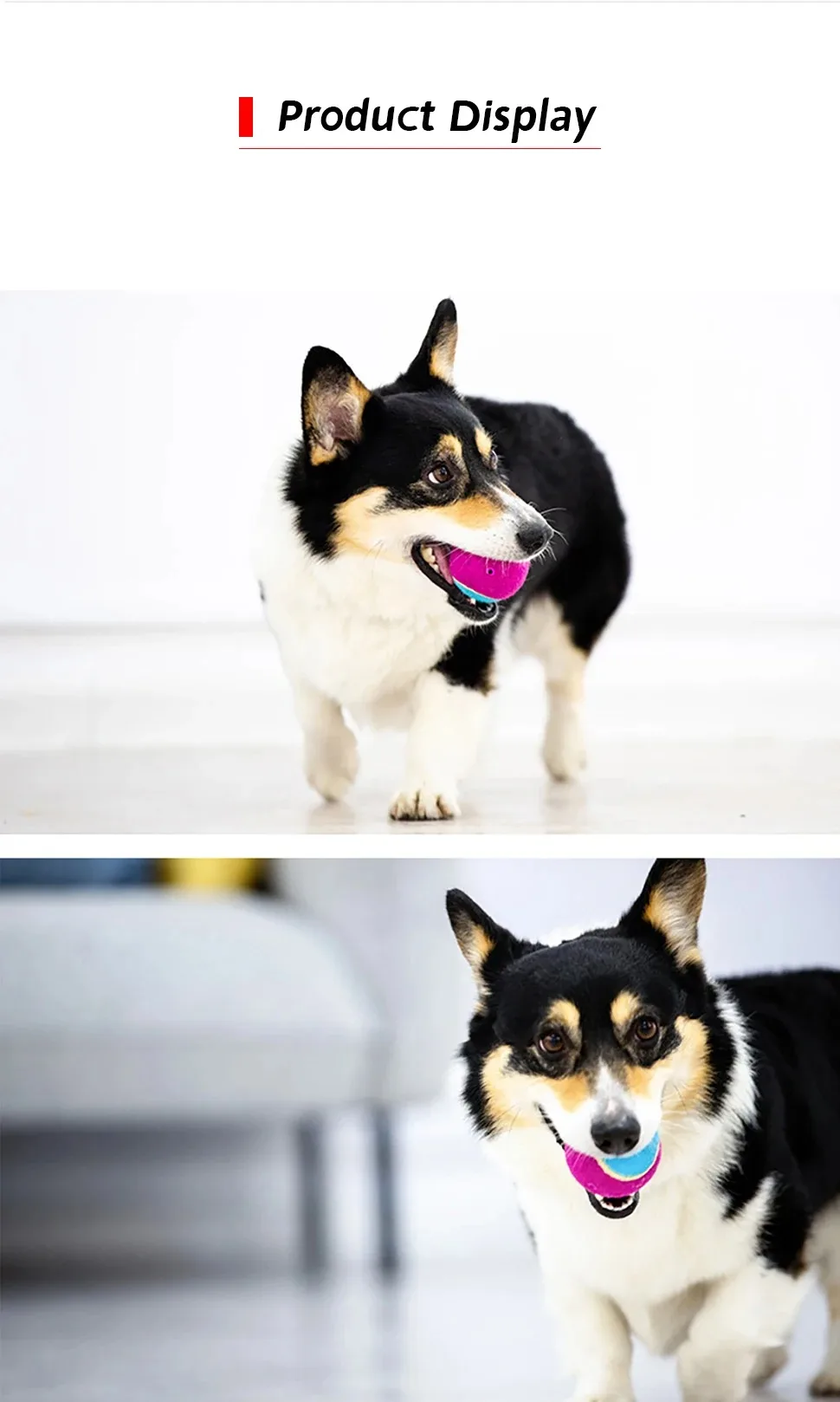 OUZEY 4Pcs/Set Pets Dog Squeaky Tennis Ball Toys Bite Resistant High Bounce Sound Rubber Ball for Small Medium Dogs Training Toy