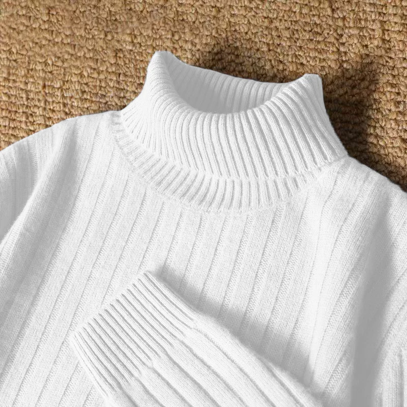 Animal Game Men's Long Turtleneck Stripes Sweater Casual Knitwear Pullover Sweaters Outdoor Warm Thick Heavyweight Cold Blouse
