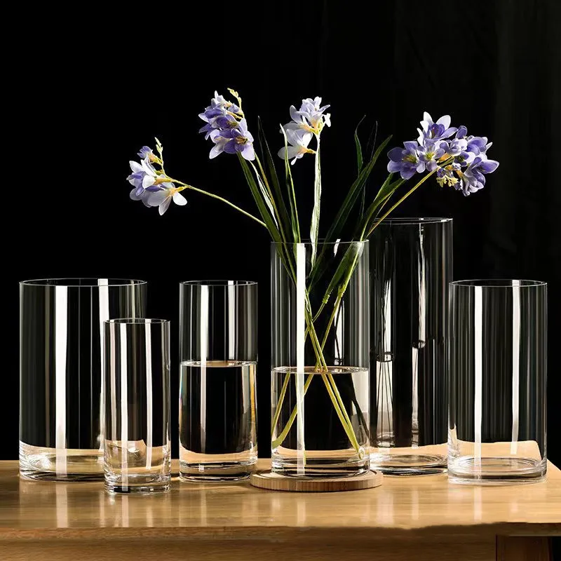Hydroponics Plants Desktop Glass Planter Vase Glass Vase Transparent Cylinder Flower Vase Bedroom Desktop Home Decoration