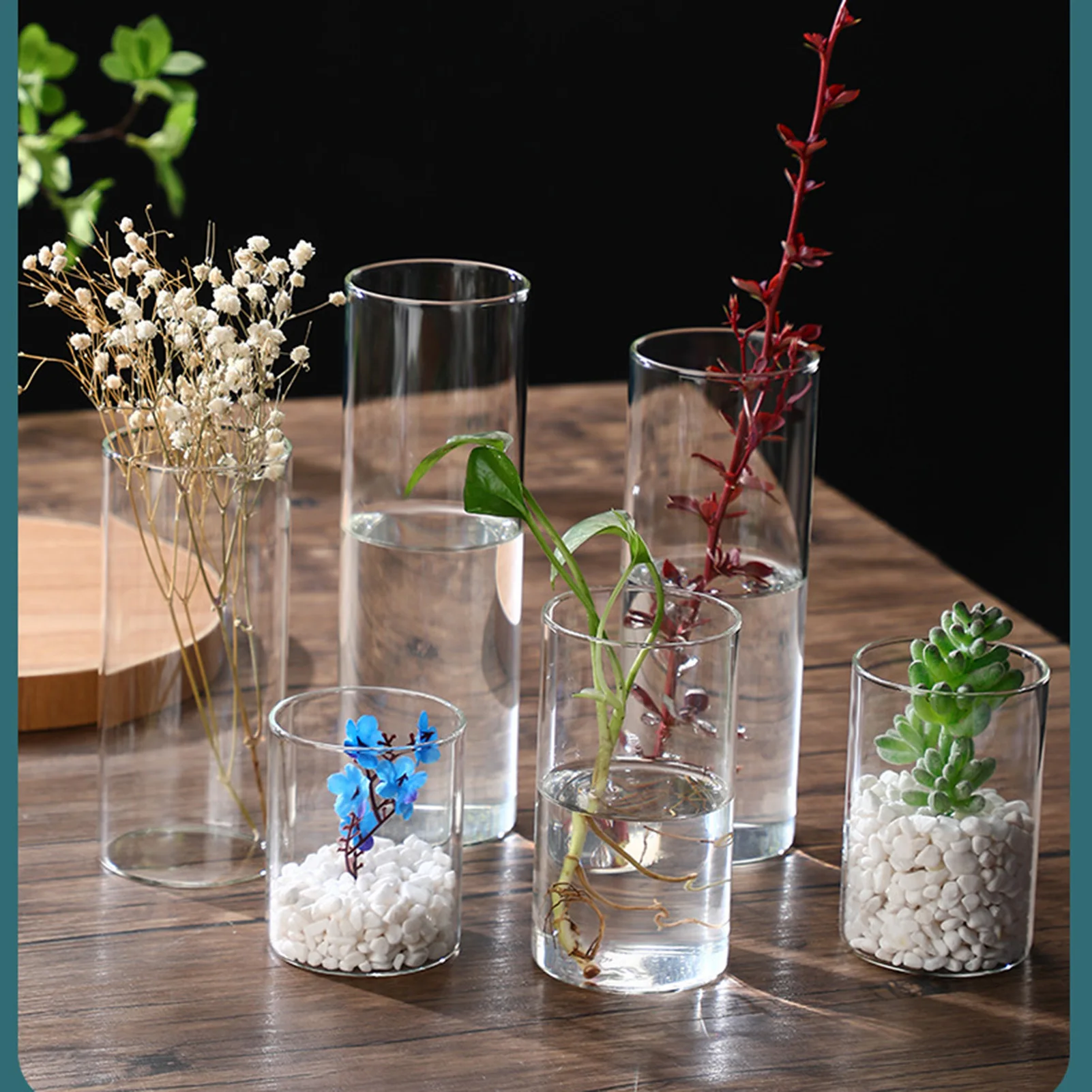 New Transparent Glass Hydroponic Vase Modern Cylinder Flower Centerpiece Clear Vases Use for Floral Wedding Home Decoration