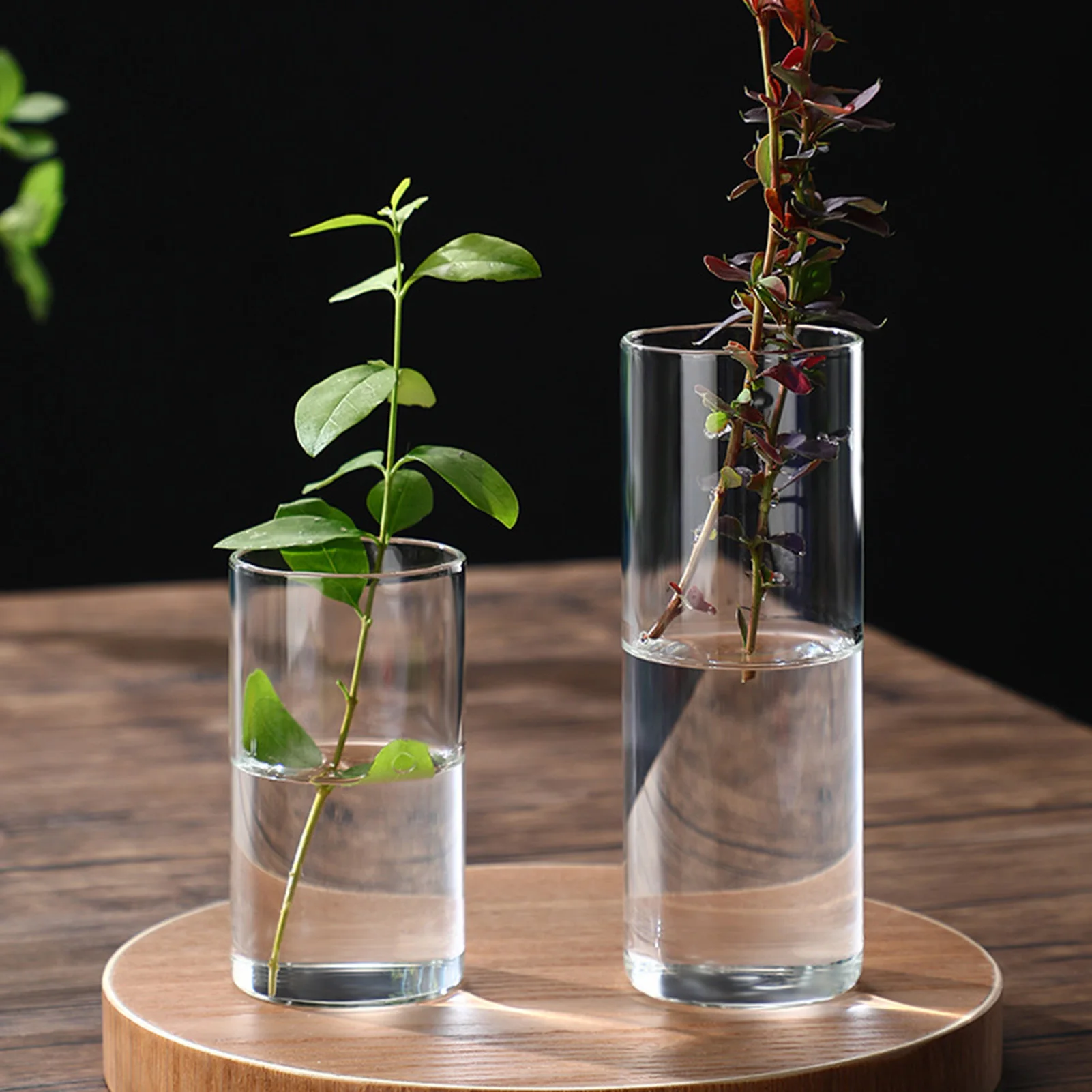 New Transparent Glass Hydroponic Vase Modern Cylinder Flower Centerpiece Clear Vases Use for Floral Wedding Home Decoration