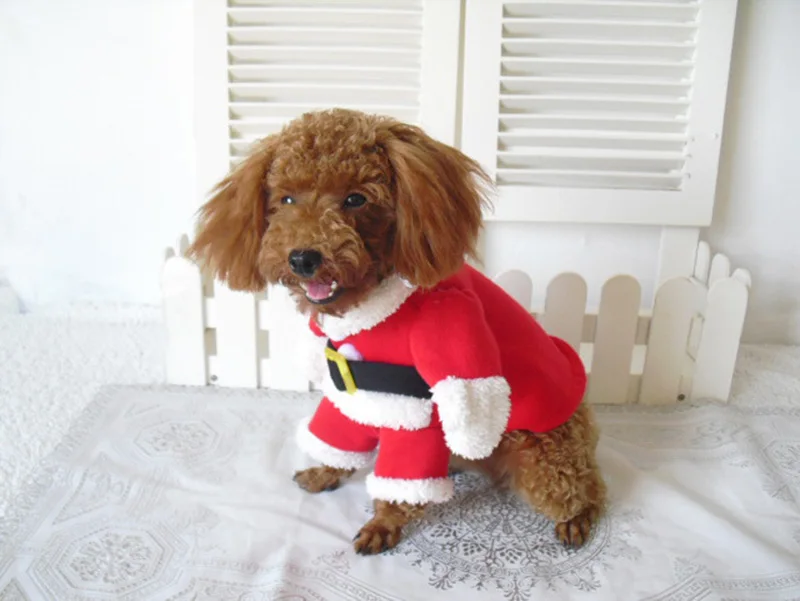 Winter Christmas Pet Cat Costumes Funny Santa Claus Clothes For Small Cats Dogs Xmas New Year Cat Clothing Kitty Kitten Outfits
