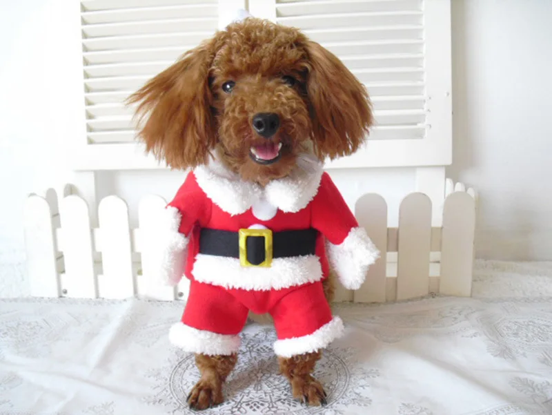 Winter Christmas Pet Cat Costumes Funny Santa Claus Clothes For Small Cats Dogs Xmas New Year Cat Clothing Kitty Kitten Outfits