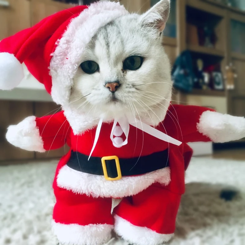 Winter Christmas Pet Cat Costumes Funny Santa Claus Clothes For Small Cats Dogs Xmas New Year Cat Clothing Kitty Kitten Outfits