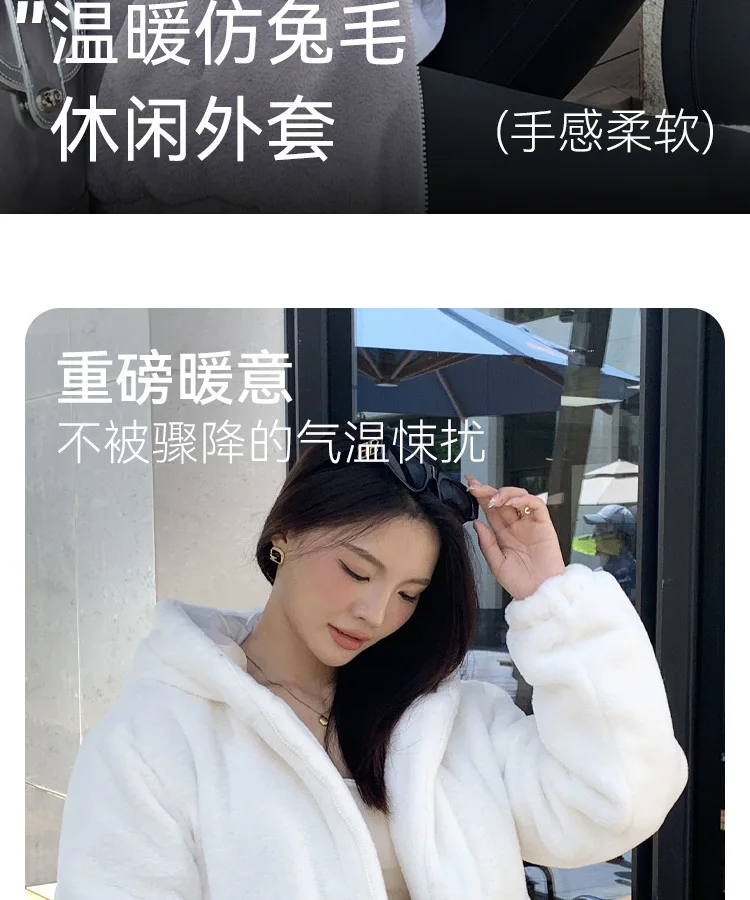 Casual Hooded Faux Rabbit Fur Coat for Women Autumn Winter 2026 Loose Fit Zipper Warm Jacket Female Soft Comfort Plush Jackets
