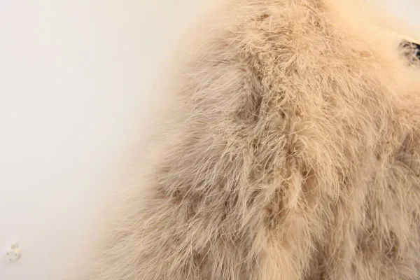 Harppihop 13 colors fashion sexy Ostrich wool turkey fur women coat feather short plus size jacket winter festival long sleeve