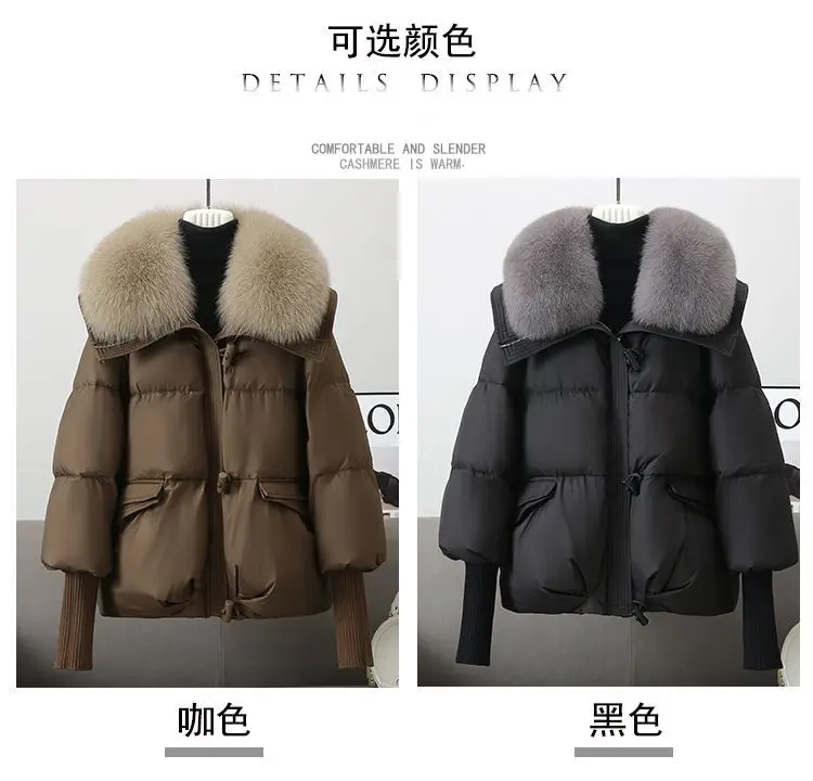 2026 Autumn Winter New Big Fur collar Cotton Jacket Women's Short Korean version Loose Thick Coats Female Warm Parka Overcoat