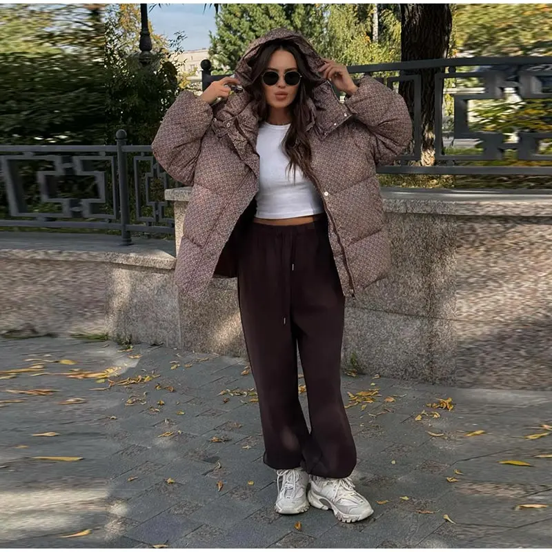 Women Swirl Print Hooded Puffer Jacket Stand Collar Zip Up Long Sleeve Loose Bubble Quilted Coat 2026 Winter Casual Warm Jackets