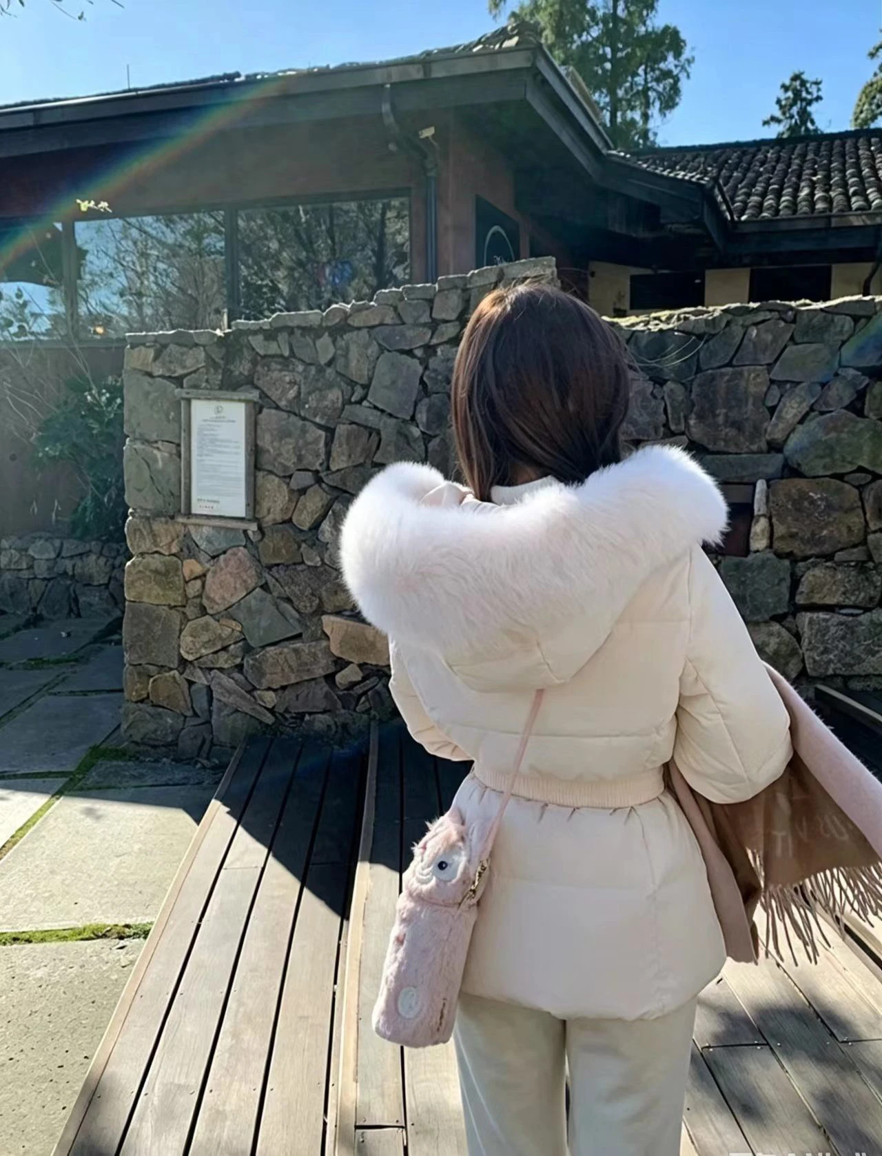 Korean Fashion Women's Solid Color Hooded Fur Collar Thin Cotton Clothes Down Jacket Women's Winter Long-sleeved Versatile Coat