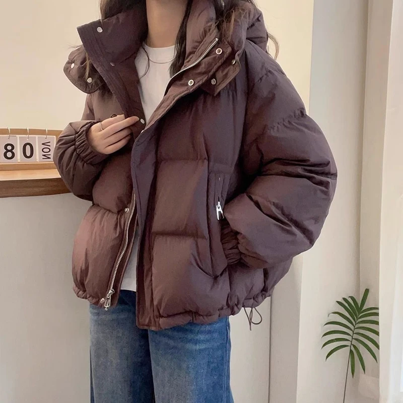 Winter Hooded Down Cotton Parkas Women Korean Zipper Up Loose Long Sleeve Short Parkas Woman Solid Thicken Warm Puff Jackets