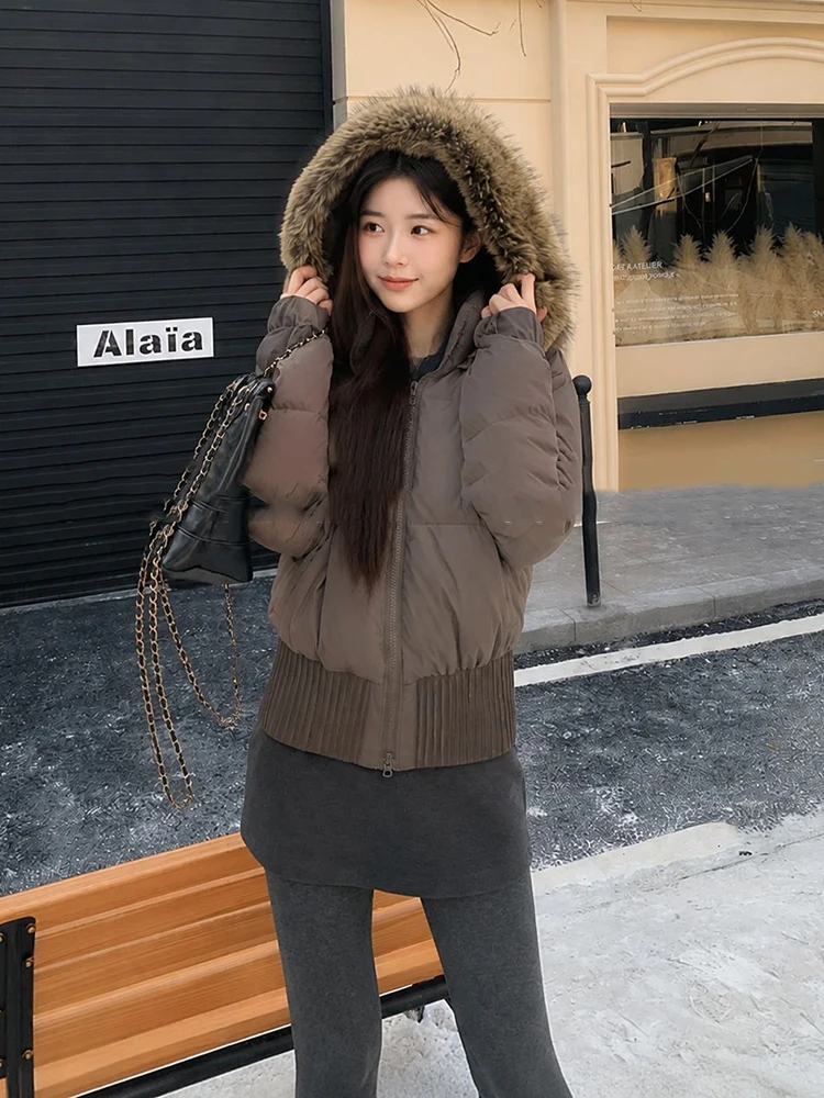 Winter Hooded Natural Large Fur Collar Down Jacket Women White Duck Down Warm Parker Outwears Female Thicken Short Down Jacket