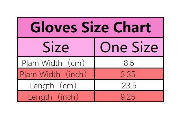 Women Gloves Autumn Winter Fleece Fashion Warm Elastic Touch Screen Windproof Cycling Windproof Business Lady Velvet Gloves