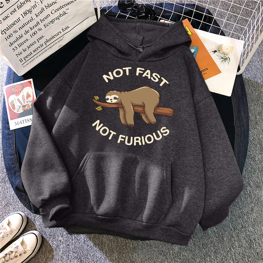 Not Fast Not Furious Sloth Sleeps Hanging From Branches Hoodies Women Novelty Fashion Hoody Loose Basic Hoodie Casual Warm Tops