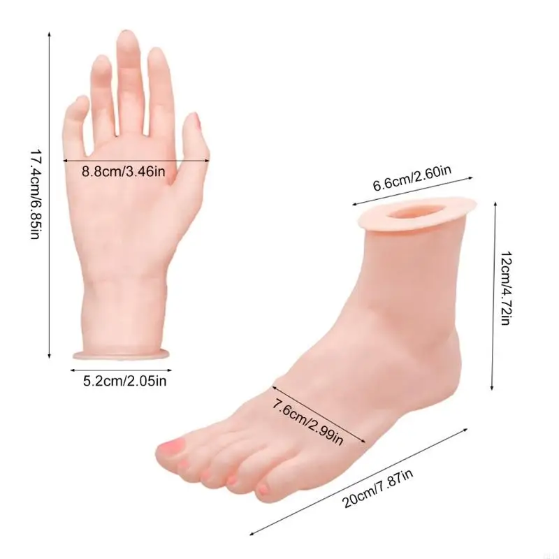 Articulated Silicone Foot and Hand Property Detailed Hand and Foot Mannequin Display Props for Jewelry and Watches