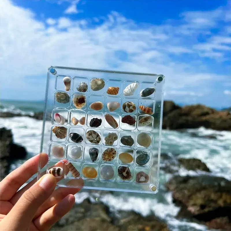 Acrylic Magnetic Seashell Display Box Seashell Storage Box Clear Acrylic Diamond Gemstone Beads Storage Display Organizer Box