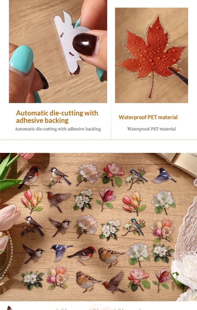 JIANWU Vintage Butterfly Flower Birds Maple Leaf Landscape Material Collage Scrapbooking PET Sticker Creative Journal Stationery