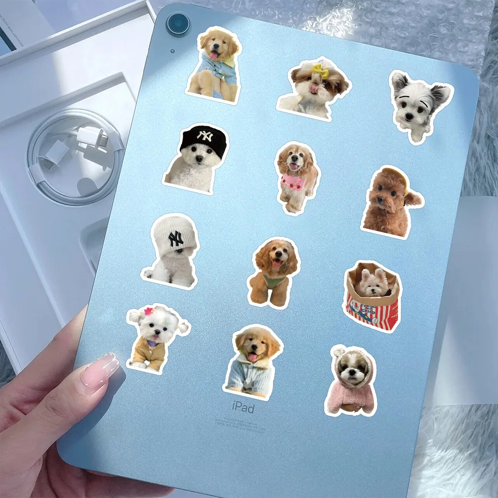 100Pcs Funny Fashion Dog Stickers Cartoon Cute Decals Toy Guitar Phone Bicycle Laptop Notebook Luggage Car Graffiti Kids Sticker