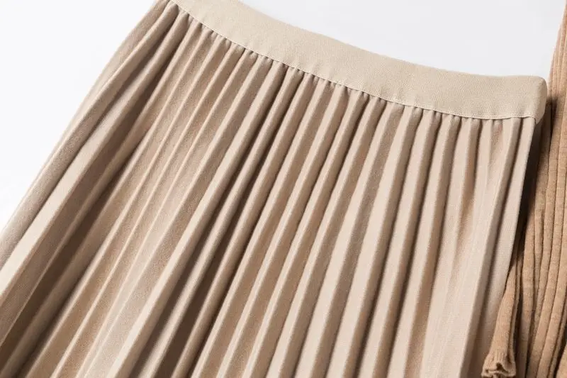 Brown Color Thickened Woolen Skirt Women's Autumn and Winter New Korean Style Loose Fashion Elegant High Waist Casual Pleated Sk