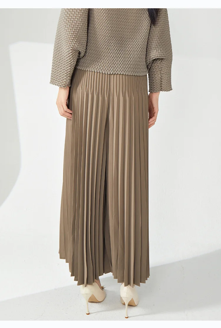 LANMREM niche design pleated pants for women 2025 new loose casual wide leg elastic waist trousers spliced tide straight 2DB2555