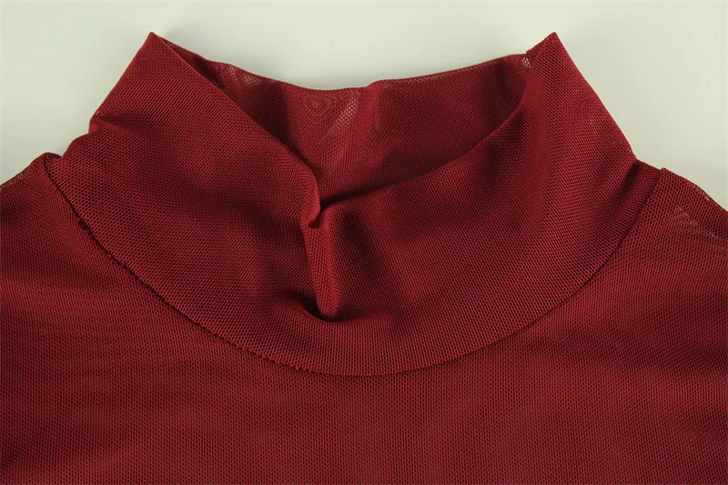 Sexy Women's Burgundy Mini Dress Luxury Turtleneck Transparent Long Sleeve A-line Short Dresses Evening Party Prom Cocktai New
