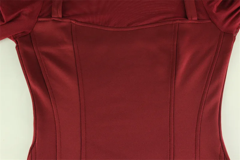 Sexy Women's Burgundy Mini Dress Luxury Turtleneck Transparent Long Sleeve A-line Short Dresses Evening Party Prom Cocktai New