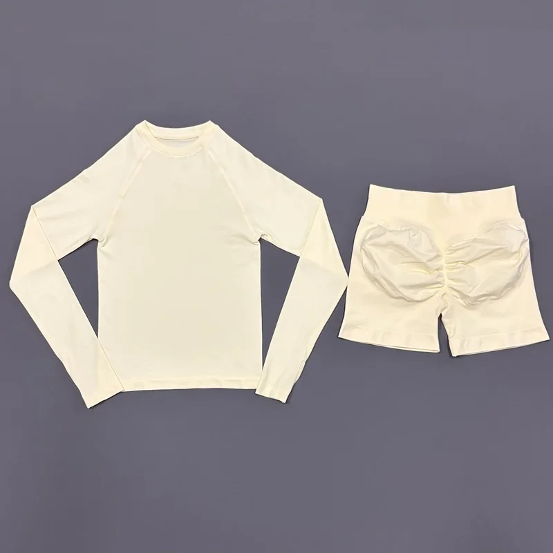 HISTELLO 2 Piece Gym Set Women Sports Long Sleeve Top and Shorts Sets Lightweight Fitness Clothes Pilates Yoga Sportswear Outfit