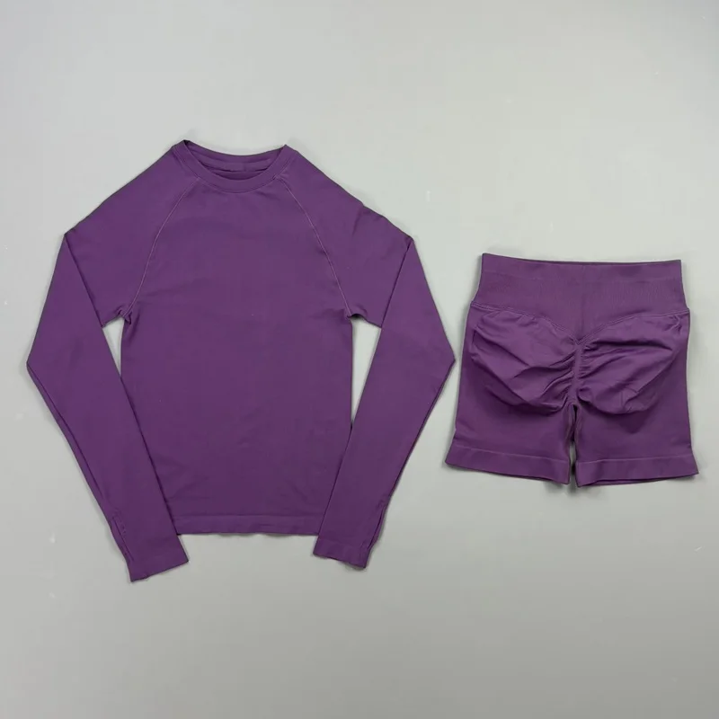 HISTELLO 2 Piece Gym Set Women Sports Long Sleeve Top and Shorts Sets Lightweight Fitness Clothes Pilates Yoga Sportswear Outfit