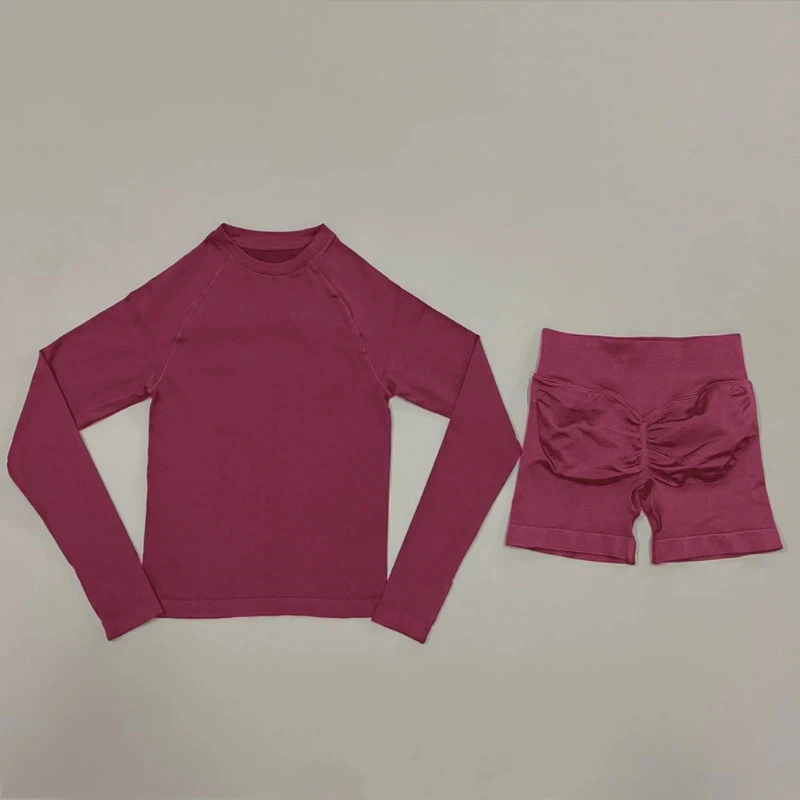 HISTELLO 2 Piece Gym Set Women Sports Long Sleeve Top and Shorts Sets Lightweight Fitness Clothes Pilates Yoga Sportswear Outfit